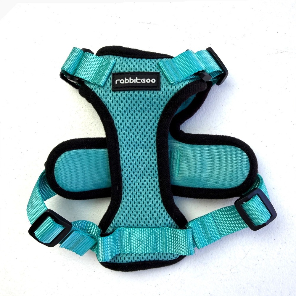 Rabbitgoo Dog Harness XS Teal No Pull Reflective Mesh Adjustabl Walking Vest Pet